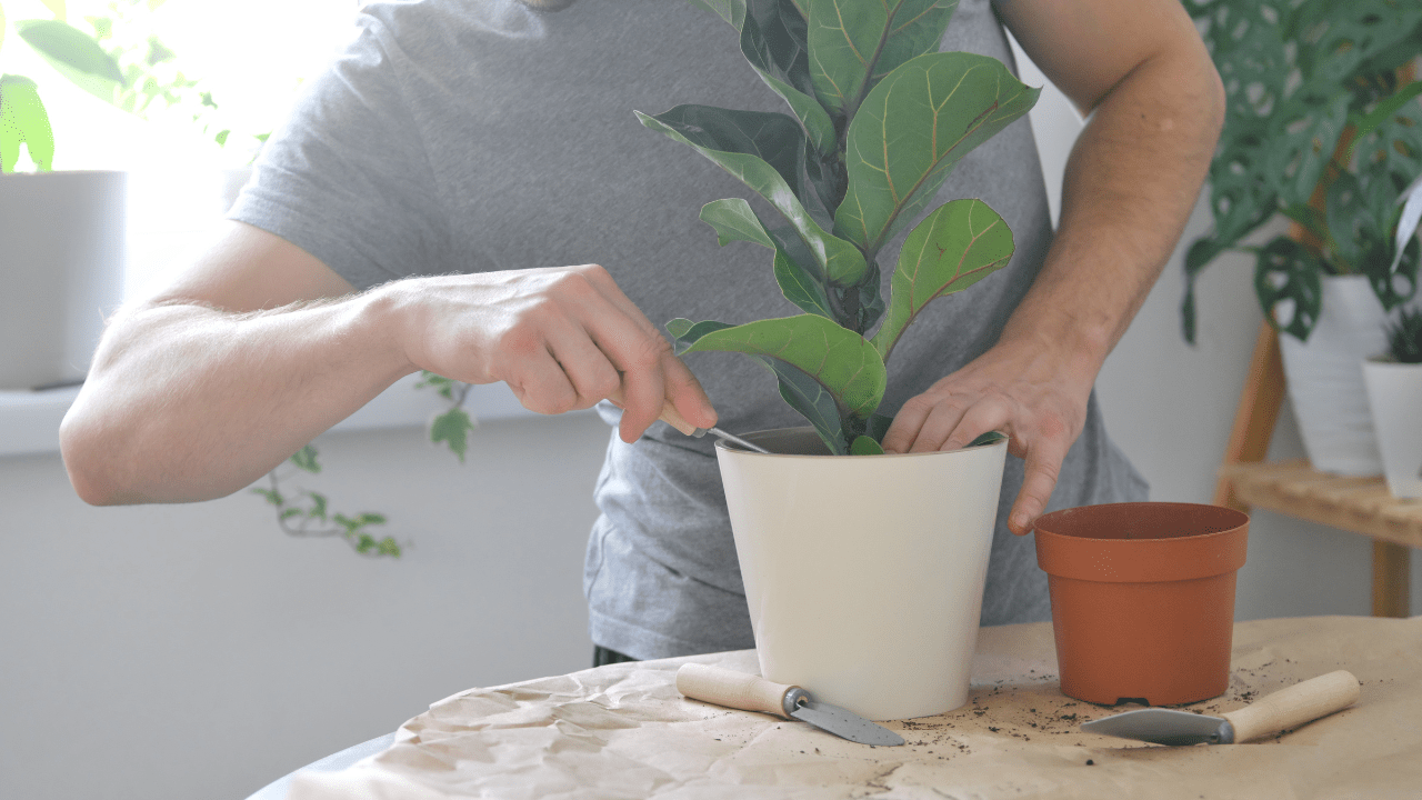 Como Decorar Vaso de Planta