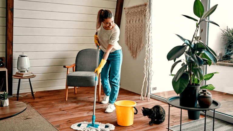 Como Limpar a Casa 5 Dicas Importantes