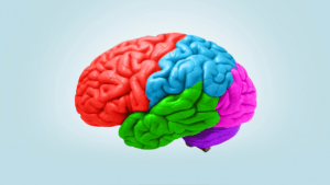 Psicologia das Cores nos Ambientes Como as Cores nos Afeta