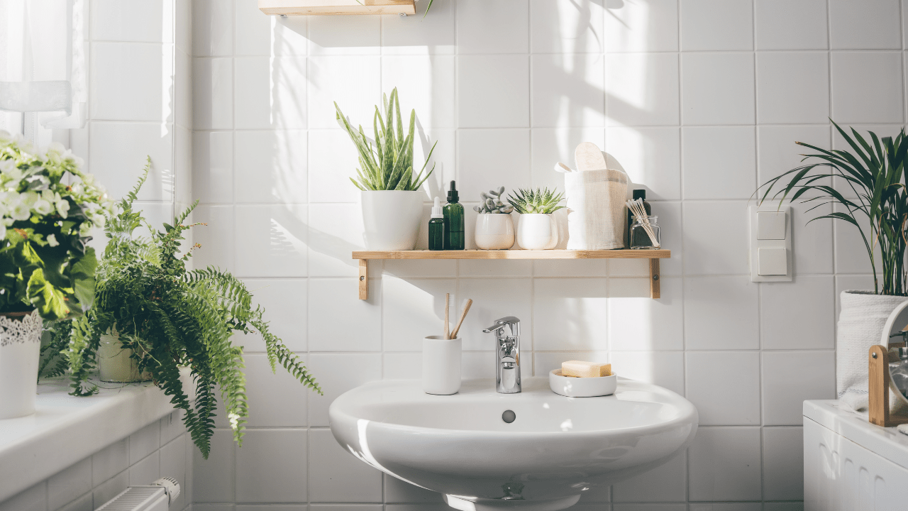 como decorar banheiro com plantas