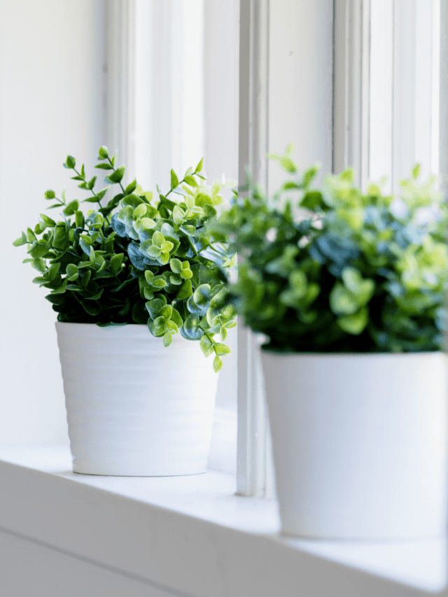 cropped-Parede-Decorada-com-Plantas-Artificiais-5.png
