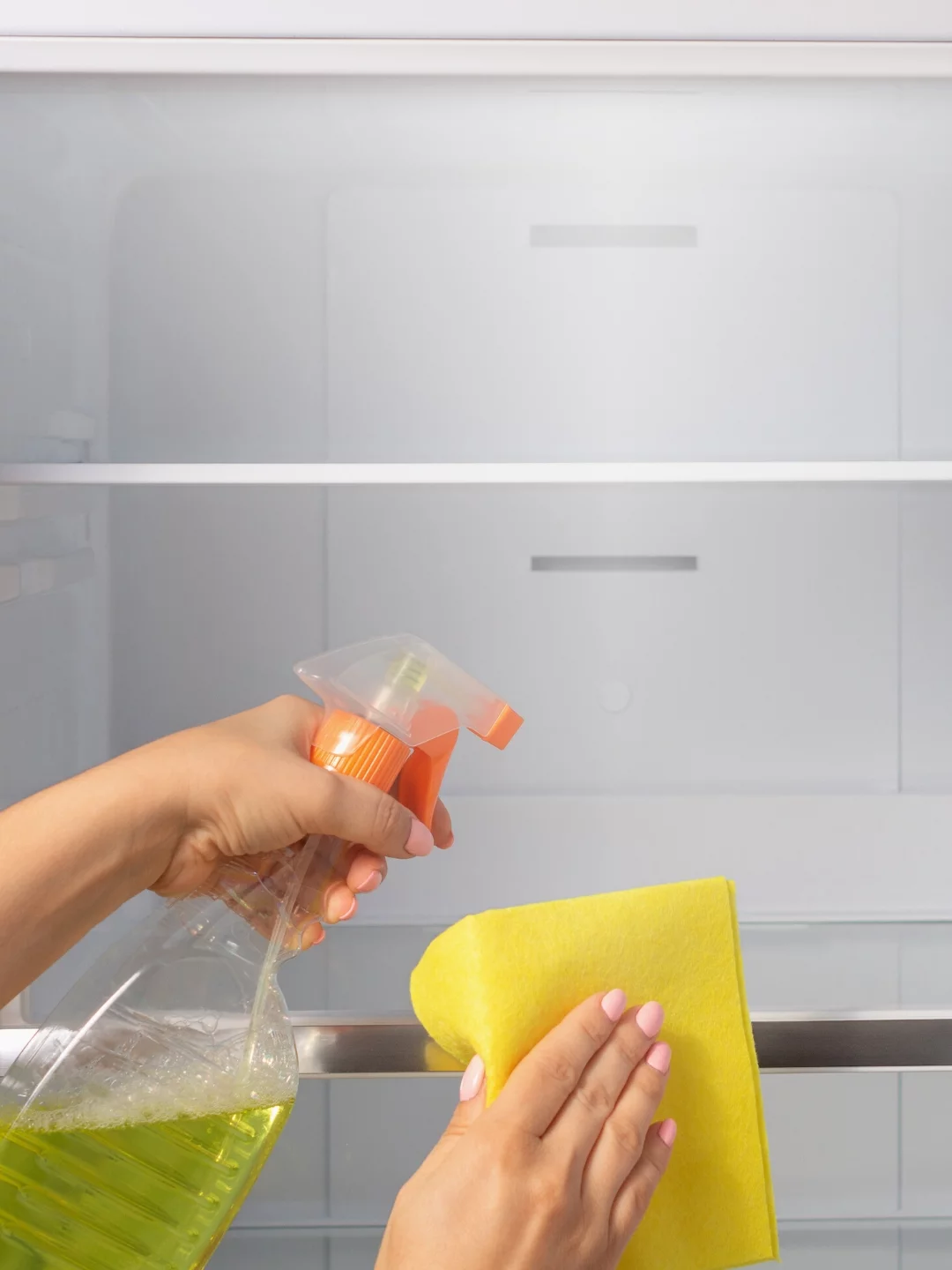 7 Dicas Importantes Sobre a Sua Geladeira