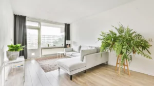 Como Decorar Sua Sala com Plantas Naturais